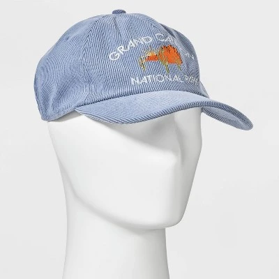 Men's Canyon Baseball Hat - Goodfellow & Co™ Blue 3 Men's Canyon Baseball Hat - Goodfellow & Co™ Blue