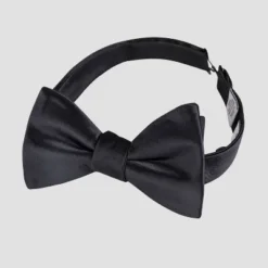 Men's Pre-Tied Satin Bow Tie - Goodfellow & Coâ„¢ Black One Size